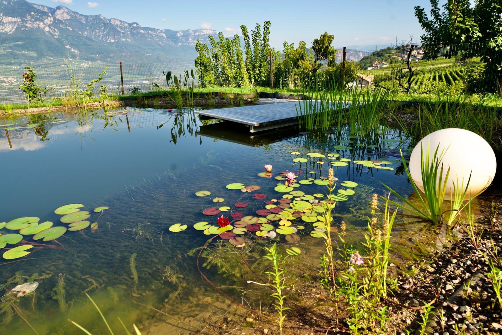 Burgunderhof Villa Montagna Dış mekan fotoğraf